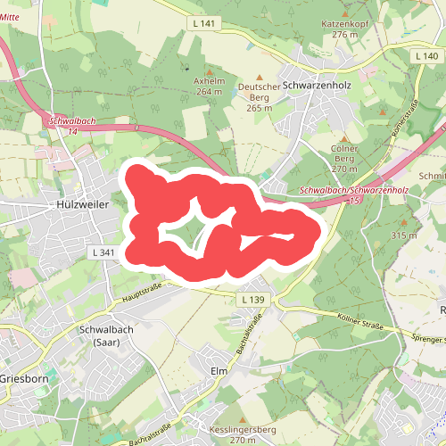 Traumschleife Waldzeit