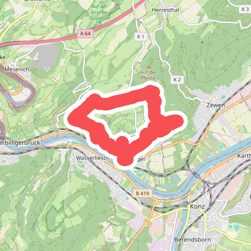 Igel1 - Igel-Liersberg