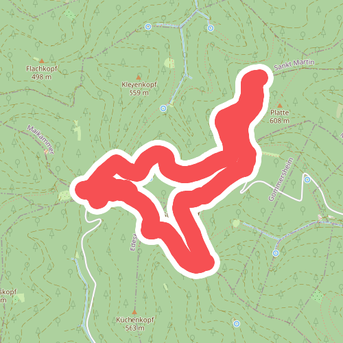 Edenkoben Naturparkweg 6