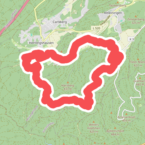 Leininger Klosterweg