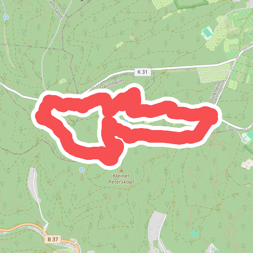 Bismarckturm-Heidenfels