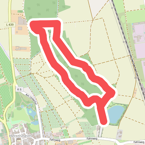 Waldpfad in den Herrnsheimer Klauern