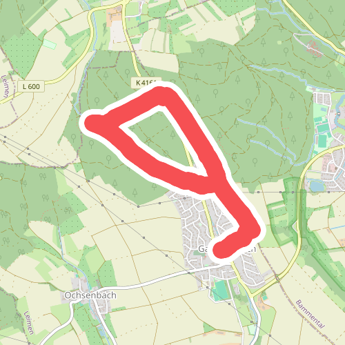 Rundwanderweg Gauangelloch 3: Teichweg