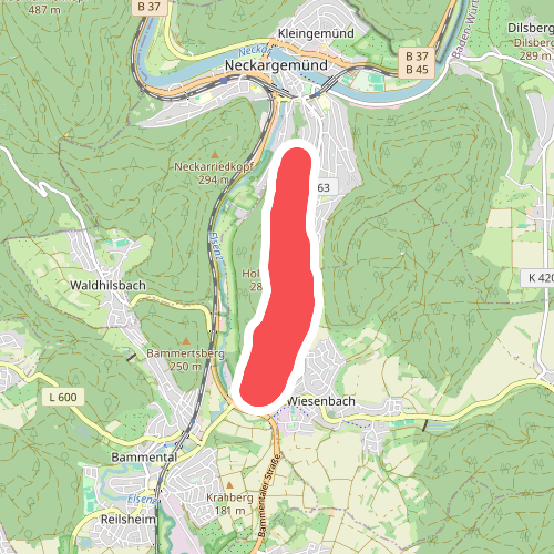 Rundwanderweg Drei-Hasen-Hütte 1: Bannwald-Weg