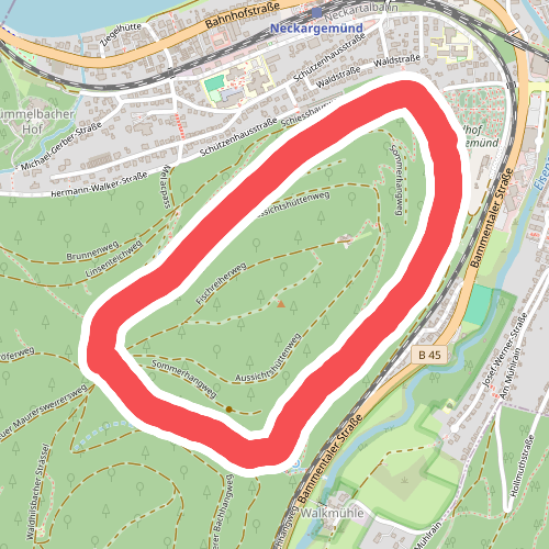 Rundwanderweg Neckarriedkopf 7