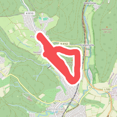 Rundwanderweg Waldhilsbach 11 - Bammertsberg-Weg