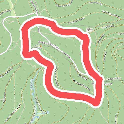 Rundwanderweg Dossenheim Weißer Stein 8: Rauhe-Buch-Weg