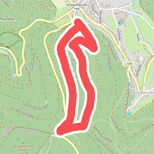 Rundwanderweg Wilhelmsfeld 7: Schriesheimer- Kopf-Weg