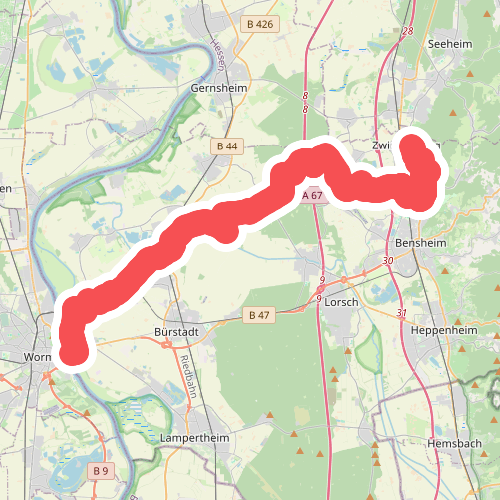 Zubringerweg zum Nibelungensteig durch das Ried