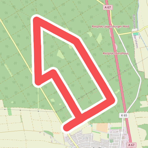 Rundwanderweg Einhausen Junger Wald 3: