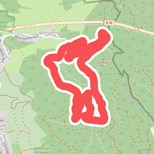 Rundwanderweg Weinheim Hirschkopf 1: Hirschkopf-Weg
