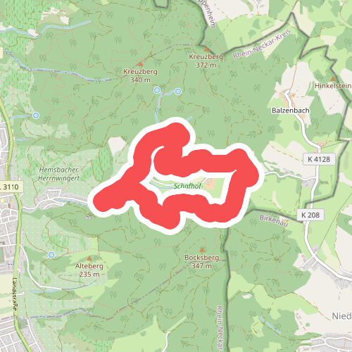 Rundwanderweg Hemsbach Schaumesklingen 2: Waldnersturm-Weg