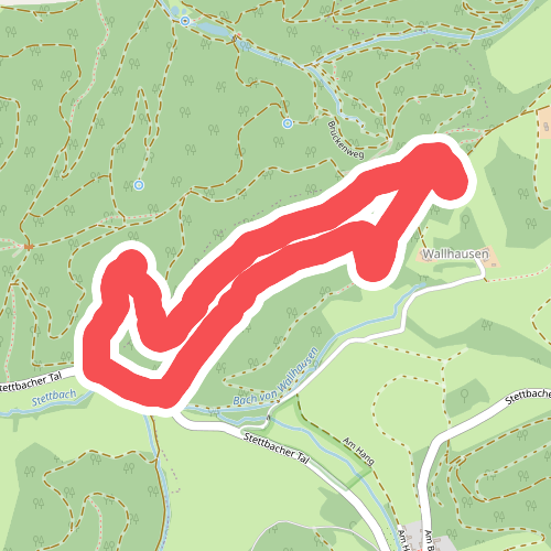 Rundwanderweg 3: Sachsenberg - Weg