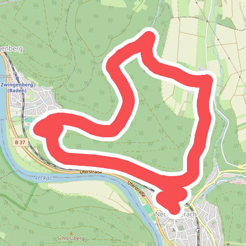 Rundwanderweg Neckargerach 1: Hohwald-Weg