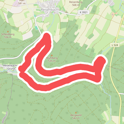 Rundwanderweg Reisenbacher Grund 3