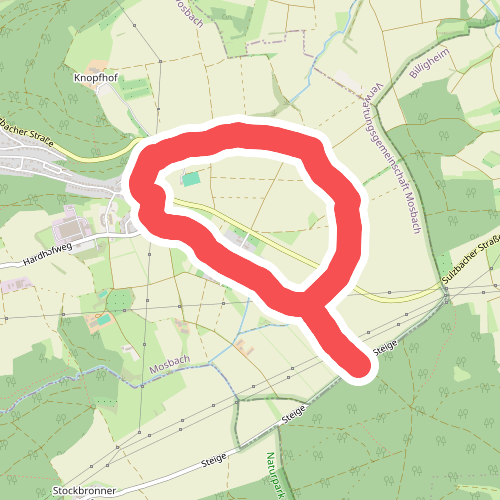 Rundwanderweg Selbachwald 1: Bergfeld-Weg
