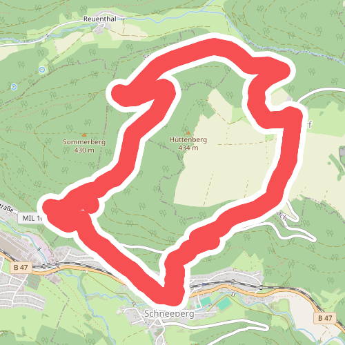 Rundwanderweg Schneeberg 2: Warzenstein-Weg