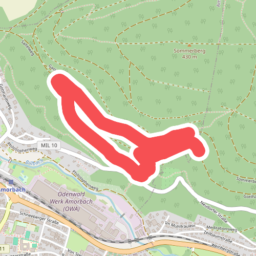 Rundwanderweg Amorbach An der Gotthardsruine 2: Sommer-Berg-Weg