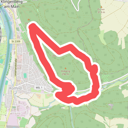 Schwarzer Keiler, Rundweg Röllfeld
