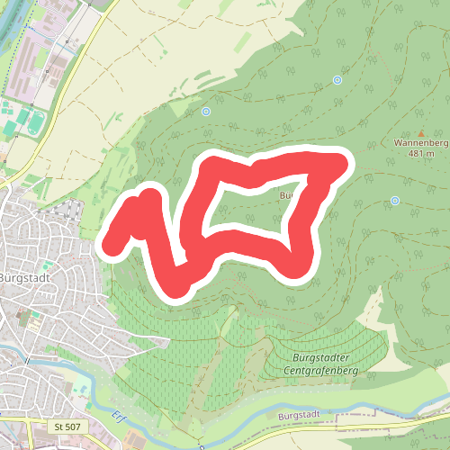 Rundwanderweg Bürgstadt Stutz 3: Ringwall-Weg