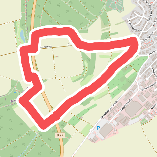 Nordic Walking Höchberg 1