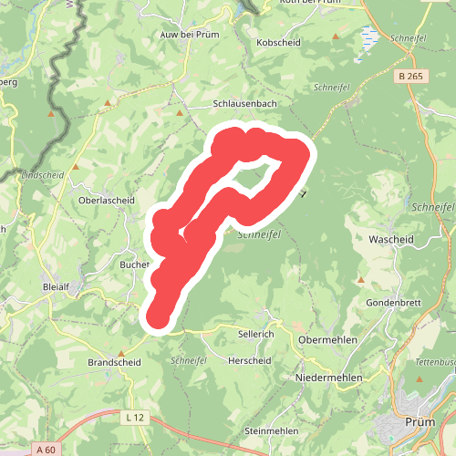 Moore-Pfad Schneifel