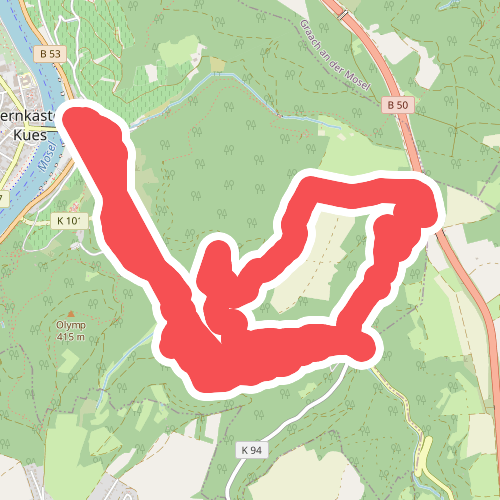 Bernkasteler Schweiz