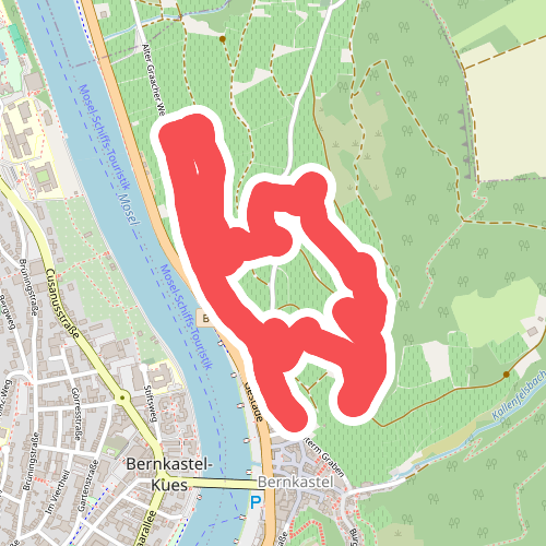 Bernkasteler Wein-Erlebnispfad