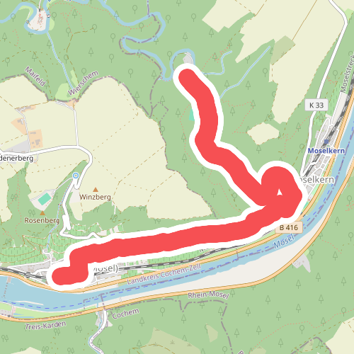 Moselsteig Zuweg Müden [ost]