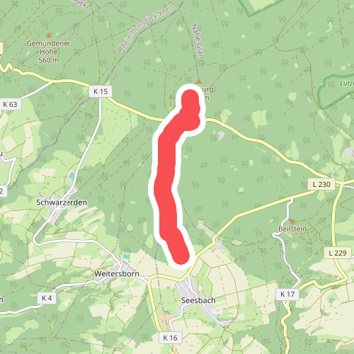 Soonwaldsteig - Zuweg_Seesbach 1