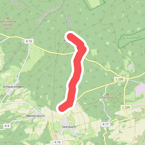 Soonwaldsteig - Zuweg_Seesbach 2