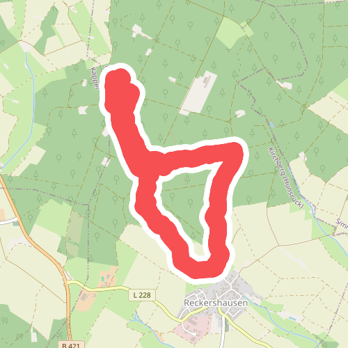 Traumschleifchen Reckershäuser Busch