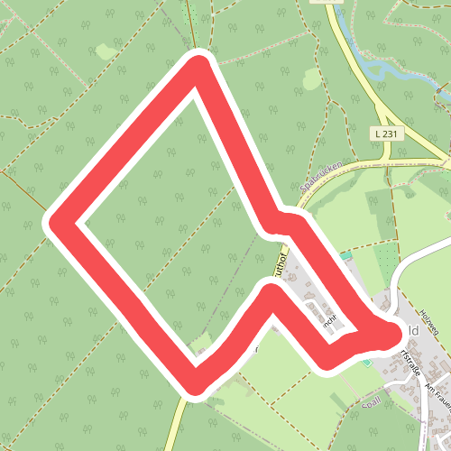 Münchwald Rundwanderweg Grün
