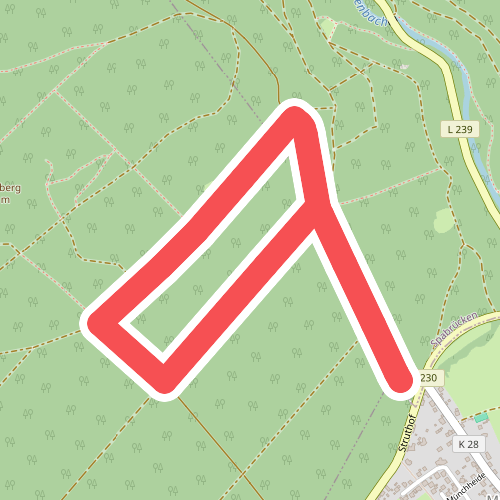 Münchwald Rundwanderweg Rot