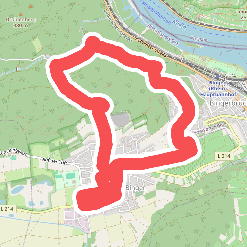 DVV Binger Wald Römervilla Rheinblick 7