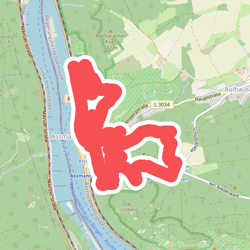 Wildkräuterweg Assmannshausen