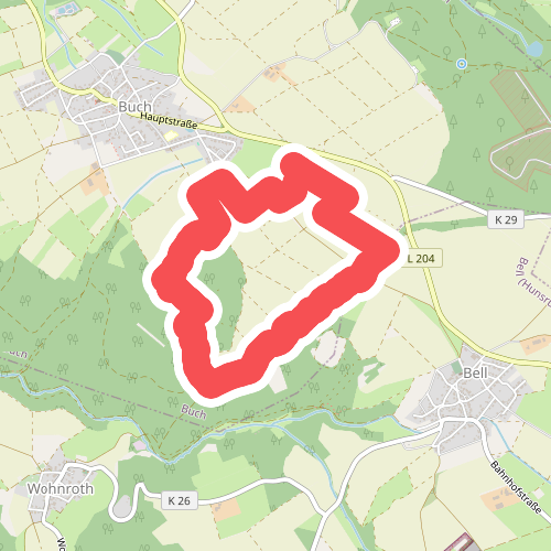 Traumschleifchen Junge Wald