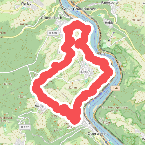 Traumschleife Mittelrhein