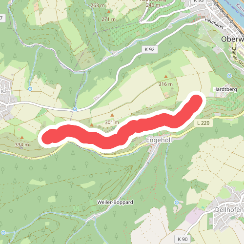 Wanderweg grüner Punkt