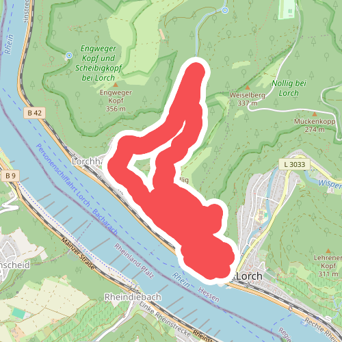 Rundwanderweg Lorch 5