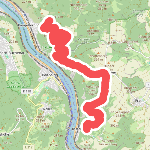 Rheinsteig Etappe 13 [Kamp-Bornhofen - Kestert]