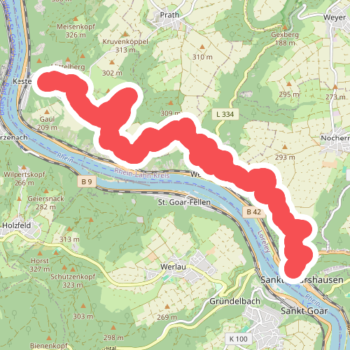 Rheinsteig Etappe 14 [Kestert - St. Goarshausen]