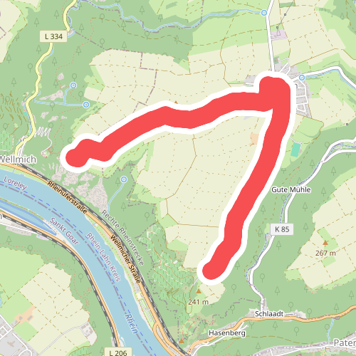 Rheinsteig-Zuweg Nochem