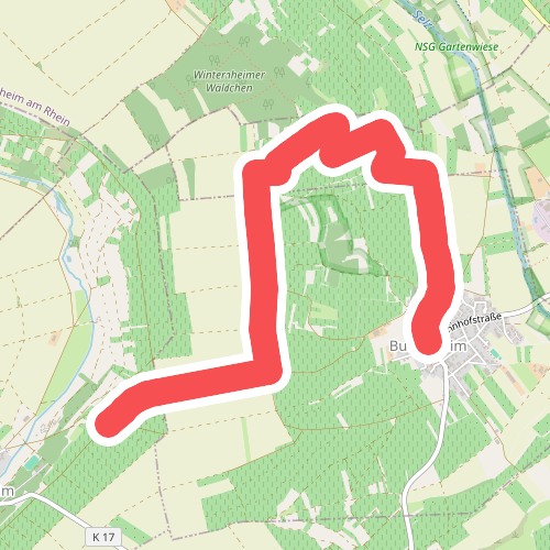 VG Gau-Algesheim: 10