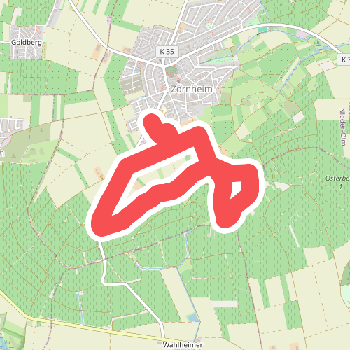 Nordic Walking Zornheim Nr. 1