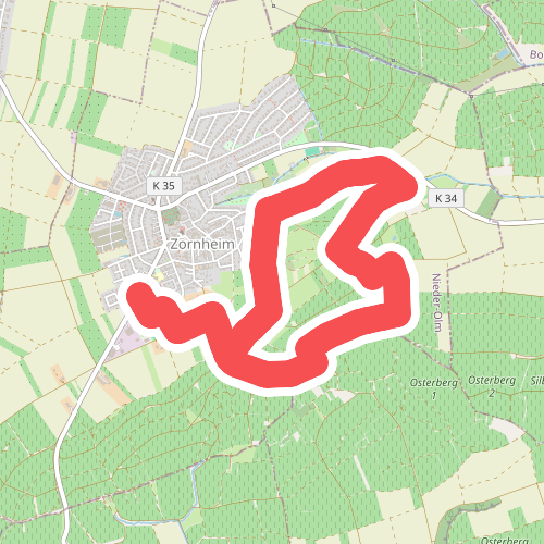 Nordic Walking Zornheim Nr. 2