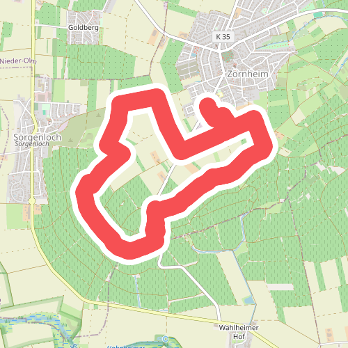 Nordic Walking Zornheim Nr. 3
