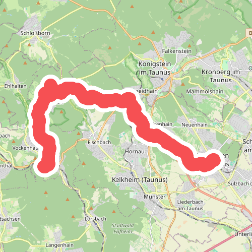 Taunusklub Route 024