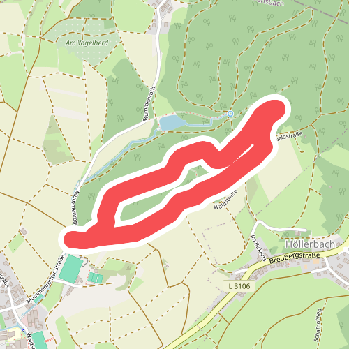 Parkplatzrundwanderweg Am Hinterwald 1 : Peter Brühler Weg