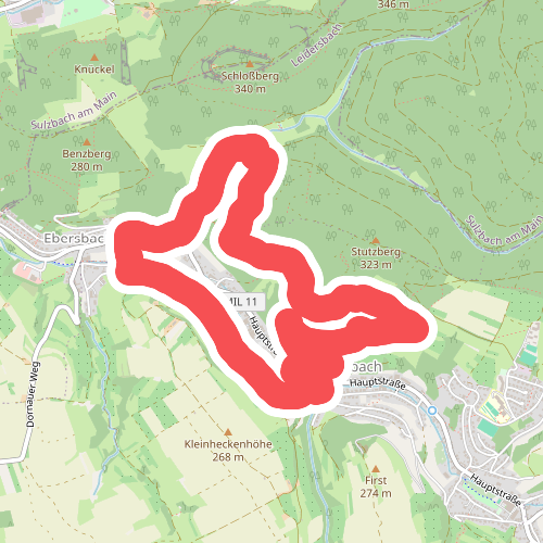 Nordic Walking 1 Blau Leidersbach